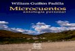MICROCUENTOS - WILLIAM GUILLÉN PADILLA