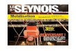 Le Seynois n°30 - Février 2012