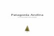 Patagonia Andina, La Inmensidad Humanizada