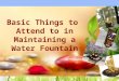 2014 Things to do in Maintaining a Water Fountain