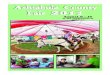 Ashtabula County Fair, Section B