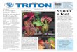 The Triton 200801