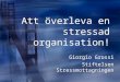 Att överleva en stressad organisation