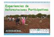 Experiencias de Reforestaciones participativas