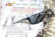 Wild Birds Unlimited Fall & Winter Hobby Guide USA
