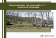 Especialización en estimación y gestión de biomasa forestal