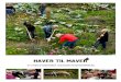 Haver til Maver - et studie af engagement, skolehaver og naturformidling