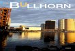 Bullhorn issue 3
