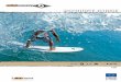 BIC Surf 011 - Esp