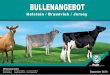 Bullenangebot Holstein/Braunvieh/Jersey Dezember 2010