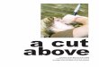 2010 A Cut Above, Yearbook