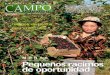 Actualidad del Campo Agropecuario N°111