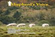 Shepherd's Voice Fall 2012