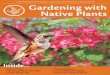 HAT's Gardening with Native Plants Guide