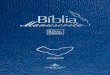 Bíblia Manuscrita - AL - Volume 8