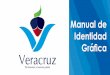 Manual de Identidad Grafica de Veracruz