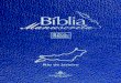 Bíblia Manuscrita - RJ - Volume 8