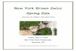New York-Spring-Brown-Swiss-Calf-Sale