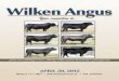 2013 Wilken Angus Catalog