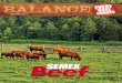 Summer 2011 Beef Balance Magazine