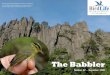 The Babbler 32