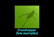 InteractiveBody Workshop_003_01=Grasshopper