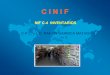 NIF C-4 INVENTARIOS. ACTUALIZADO. (Feb-2012)