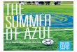 The Summer of Azul