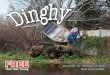 Dinghy Issue 20 November 17 - December 3