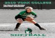 2010 York College Softball Media Guide
