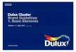 Dulux Guidelines