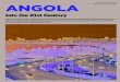 Teste Angola