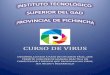 Curso de Virus Ana Victoria Rodríguez 17ae1