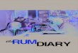 The Rum Diary - eksamensoppgave
