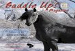 January 2013 Saddle Up! Magazine - ONLINE