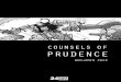 Counsels of Prudence