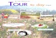 Tour  to dy