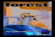 International Forest Industries Magazine Feb March 2014 with Video