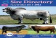 Sexing Technologies 2011-2012 Beef Sires Catalog