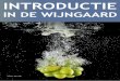 Introductieboek De Wijngaard