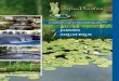 Jardins Aquatique Catalogue2011 AquaPlantes