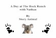 A Story Animal Adventure