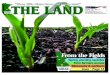 THE LAND ~ June 13, 2014 ~ Northern Edition