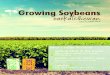 Growing Soybeans Saskatchewan Issue 1
