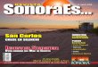Revista SonoraEs53-Ago 2008