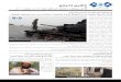 Ansar al-Shari’ah in Yemen: “News Report - Issue #1″