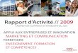 Rapport d'activité de la CCI du Jura 2009