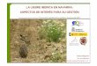 La liebre ibérica en Navarra: aspectos de interés para su gestión