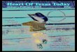Heart of Texas - Jan-Feb 2013