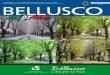 Bellusco Informa 04-2012